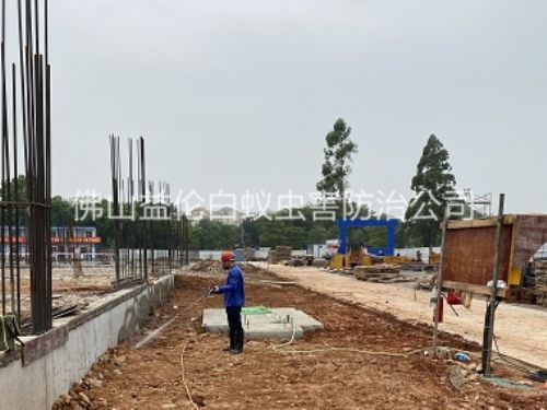 禪城區(qū)地基防白蟻工程